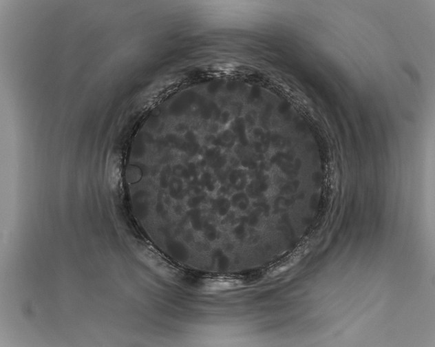 X0000112870754200908281624