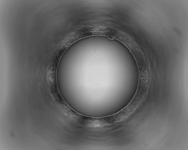 X0000112870755200908281624