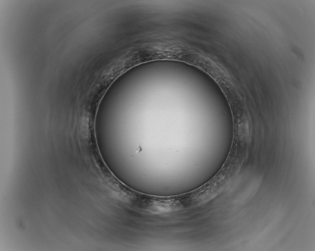 X0000112870757200908281624