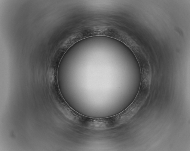 X0000112870758200908281624