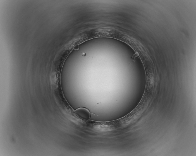 X0000112870759200908281624