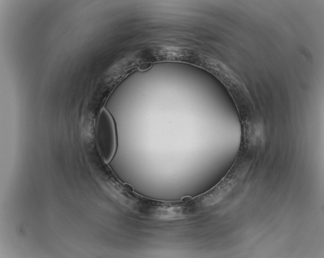 X0000112870760200908281624