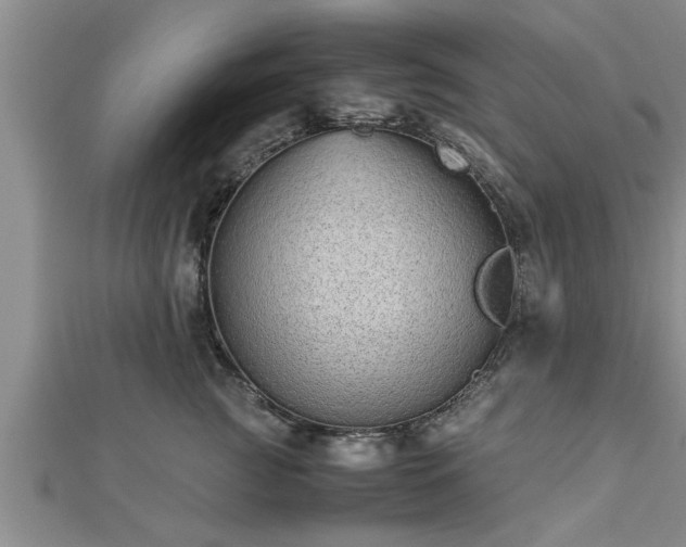 X0000112870761200908281624