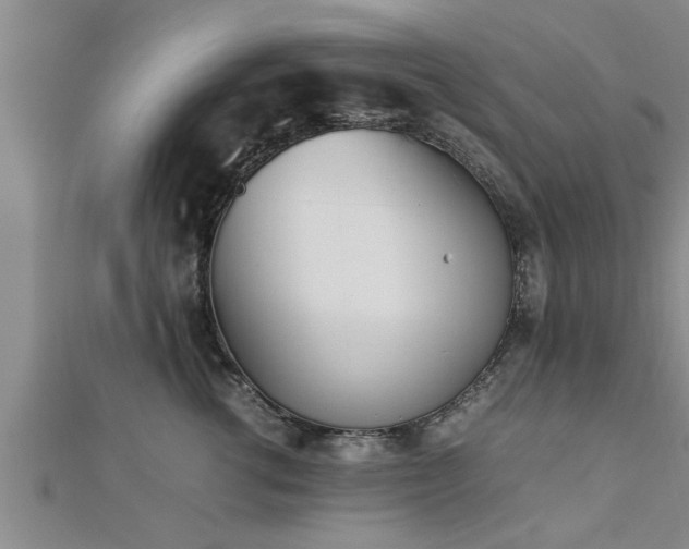 X0000112870762200908281624