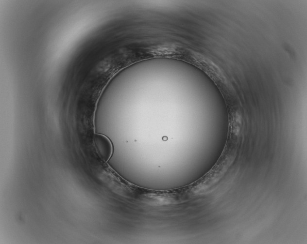 X0000112870763200908281624