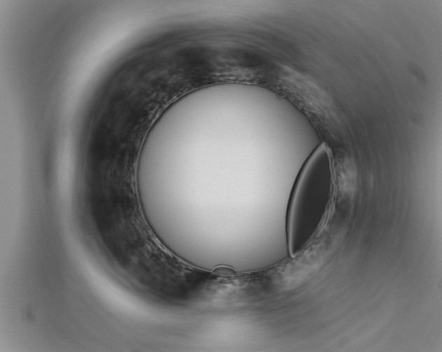 X0000112870764200908281624