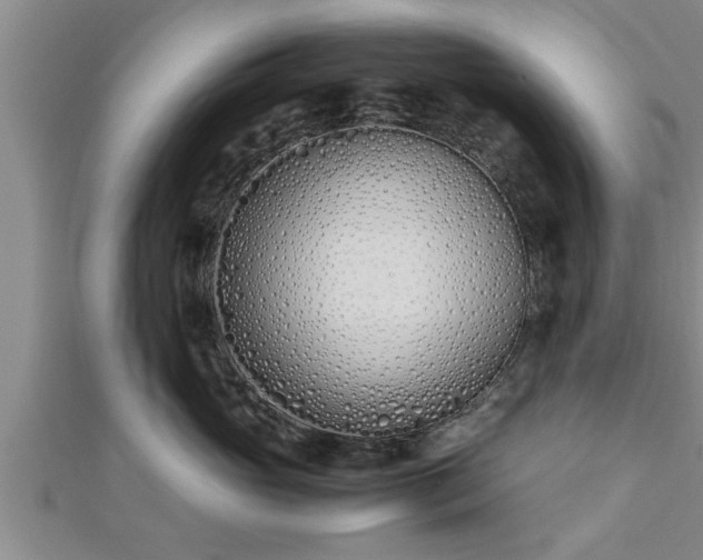 X0000112870765200908281624