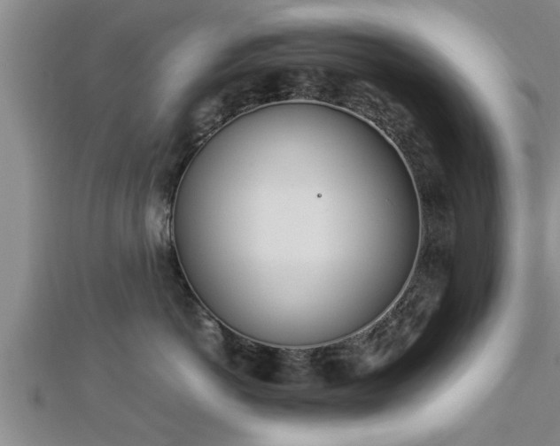 X0000112870766200908281624