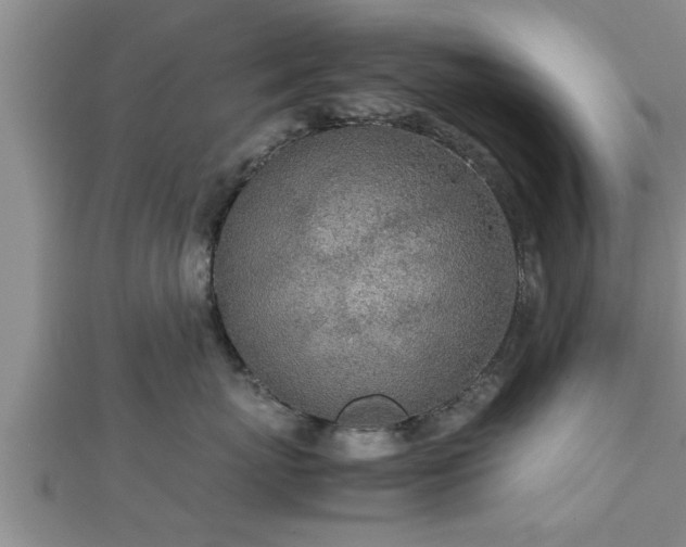 X0000112870767200908281624