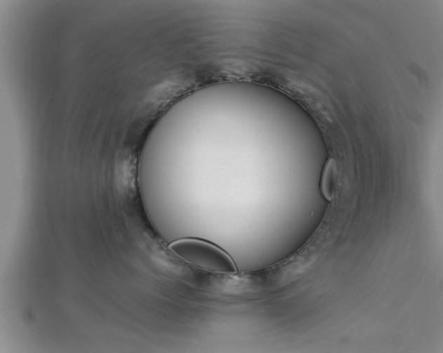 X0000112870768200908281624