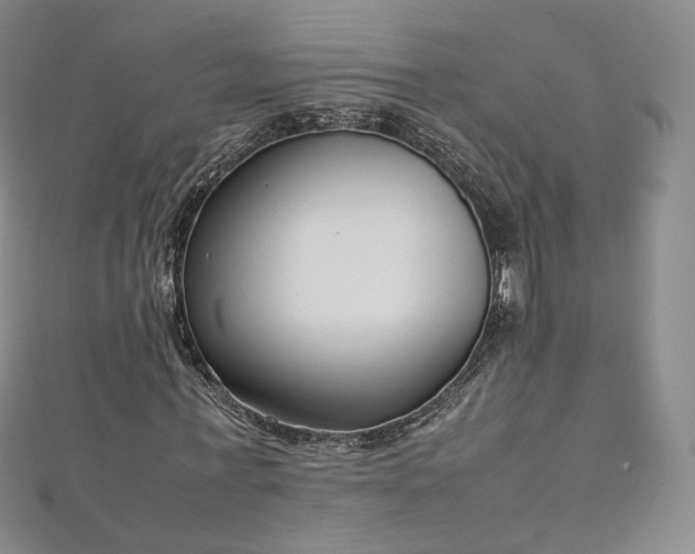 X0000112870771200908281624