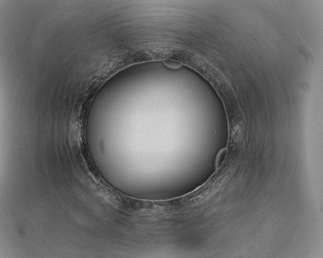 X0000112870772200908281624