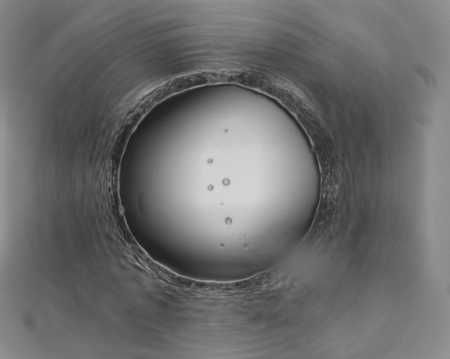 X0000112870773200908281624