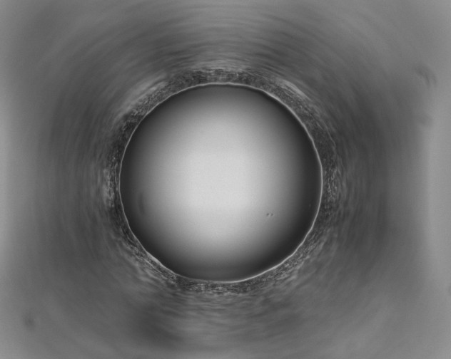 X0000112870774200908281624