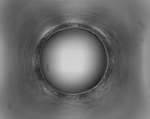 X0000112870775200908281624