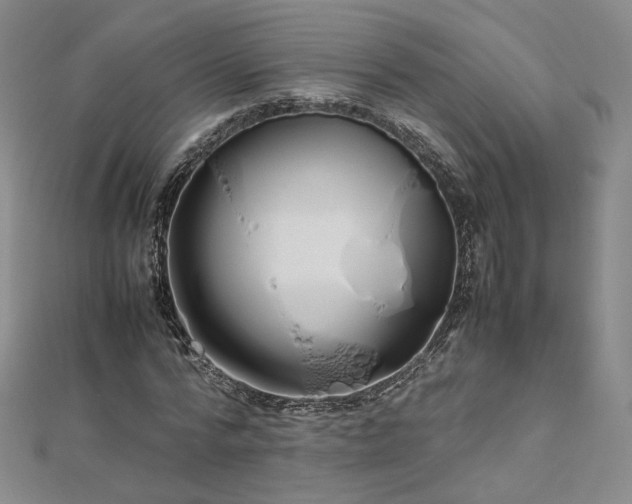 X0000112870776200908281624