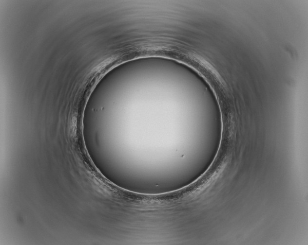 X0000112870777200908281624