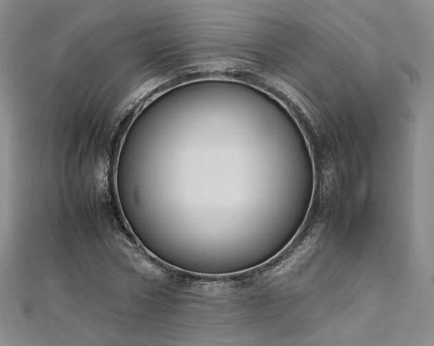 X0000112870778200908281624