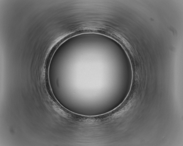 X0000112870779200908281624