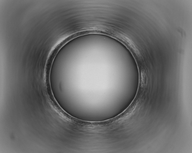 X0000112870780200908281624