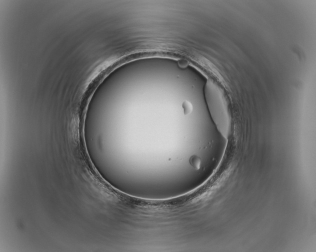 X0000112870781200908281624