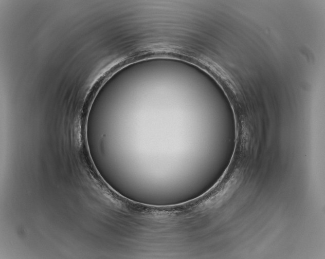 X0000112870782200908281624