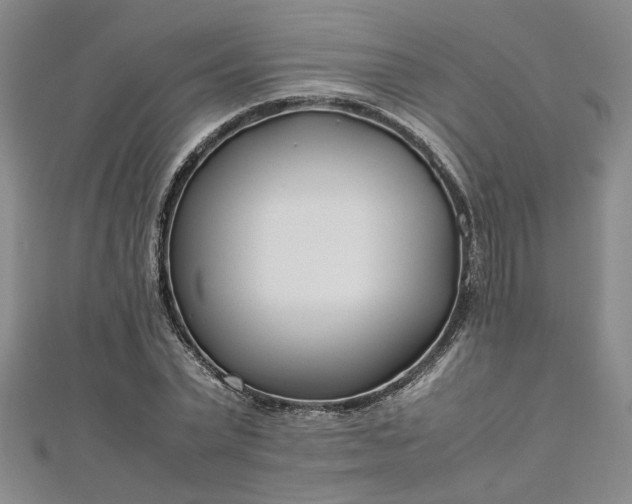 X0000112870783200908281624