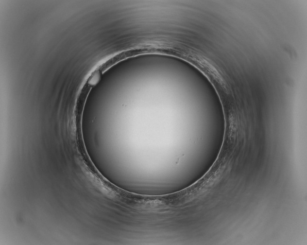 X0000112870784200908281624