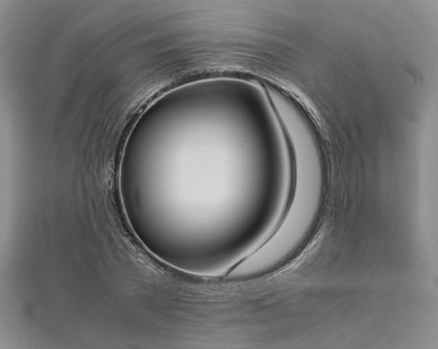 X0000112870785200908281624