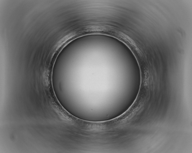 X0000112870786200908281624