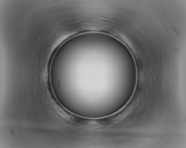 X0000112870787200908281624