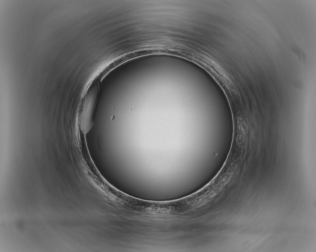 X0000112870788200908281624