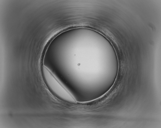 X0000112870789200908281624