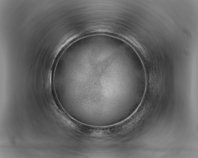 X0000112870790200908281624