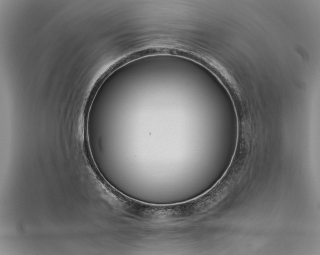 X0000112870791200908281624