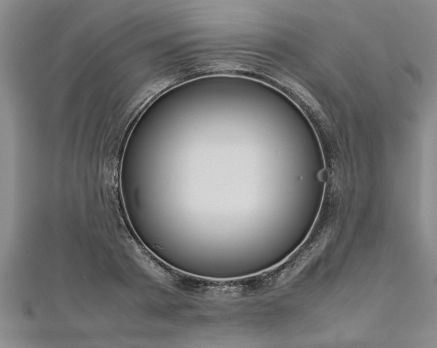 X0000112870793200908281624