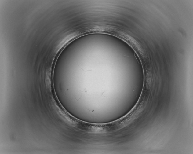 X0000112870794200908281624