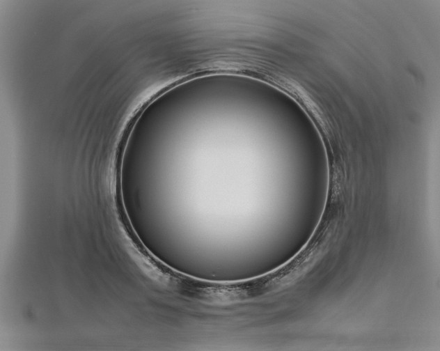 X0000112870795200908281624