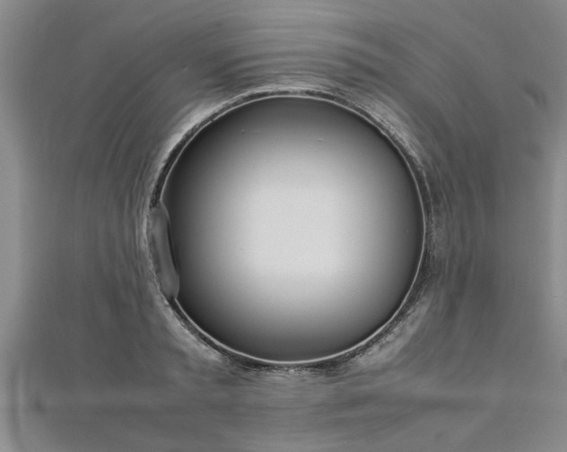 X0000112870797200908281624