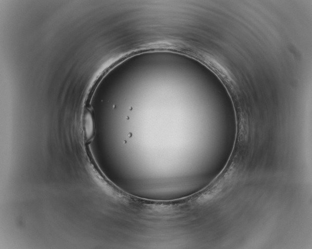 X0000112870800200908281623