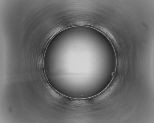 X0000112870801200908281623