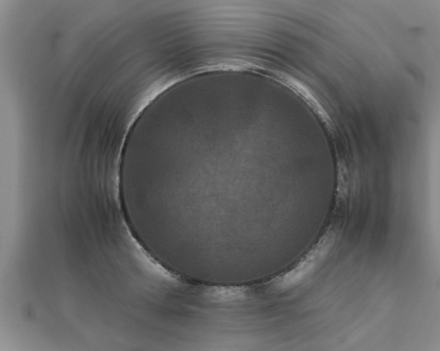 X0000112870802200908281623