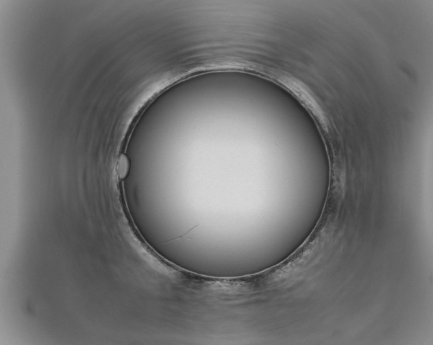 X0000112870805200908281623