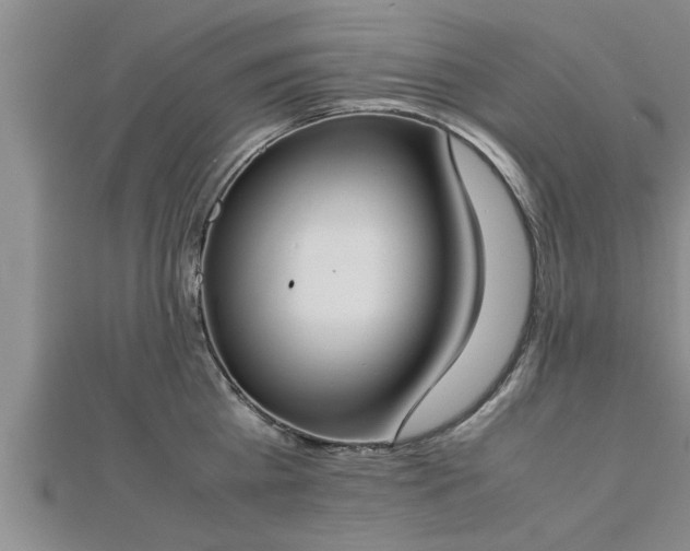 X0000112870809200908281623