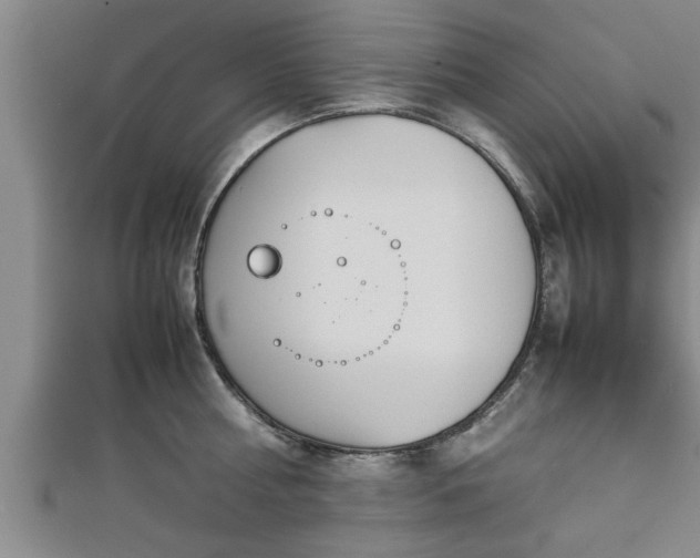 X0000112870810200908281623