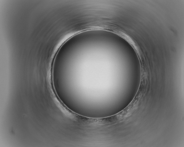 X0000112870811200908281623