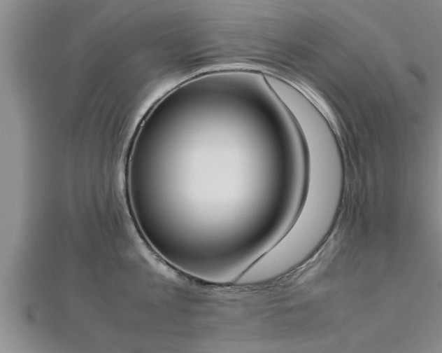 X0000112870813200908281623