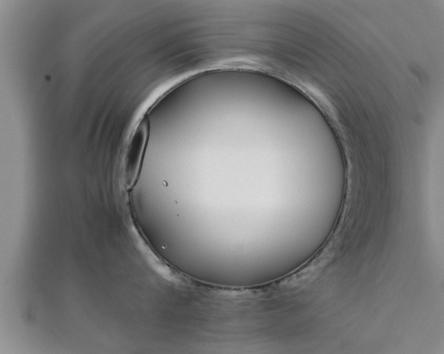 X0000112870816200908281623