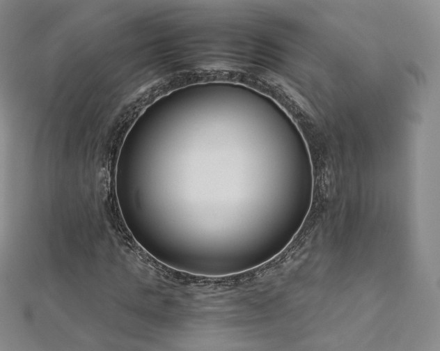 X0000112870821200908281623