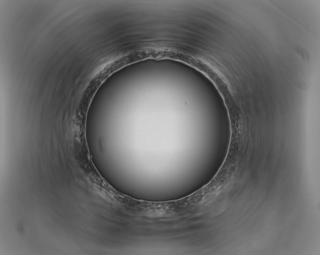 X0000112870823200908281623